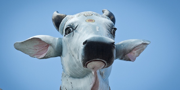 You Are What You Eat: Sacred Animals and Forbidden Foods