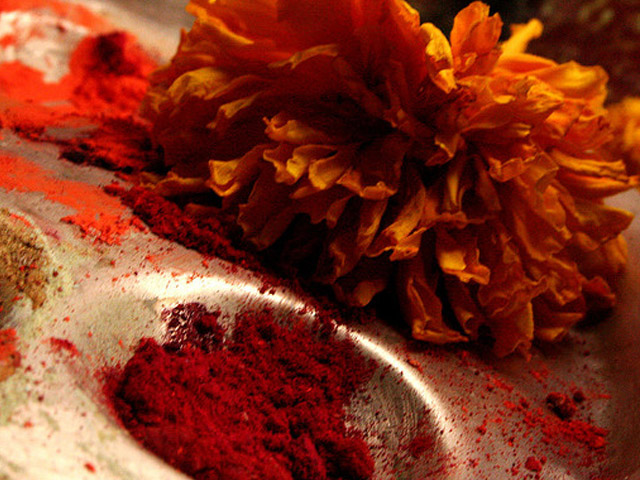 The Saffron Lover