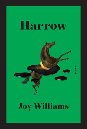 BOOK REVIEW: HARROW