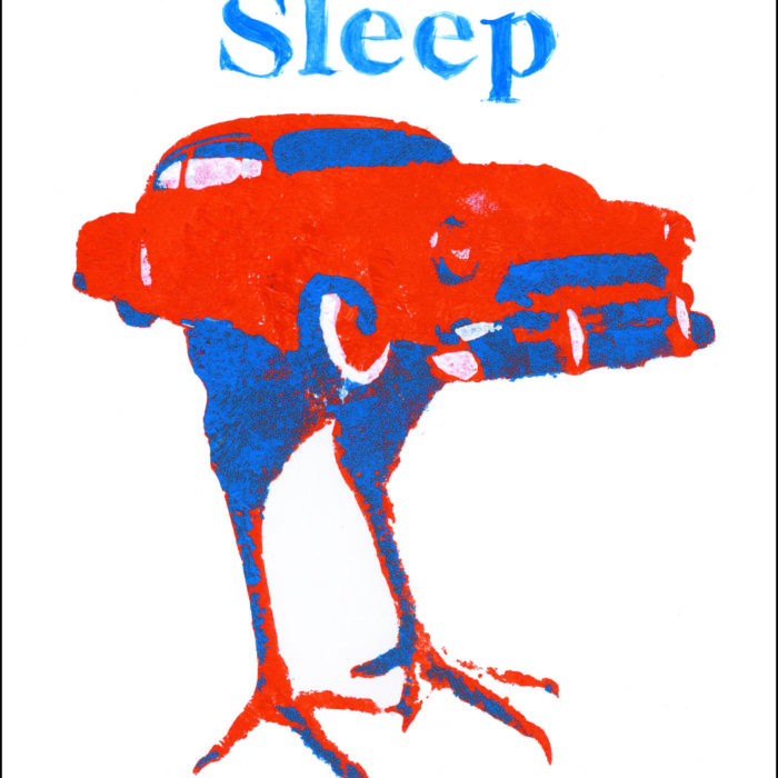 BOOK REVIEW: LET NO-ONE SLEEP