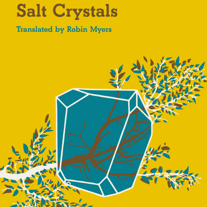 BOOK REVIEW: SALT CRYSTALS