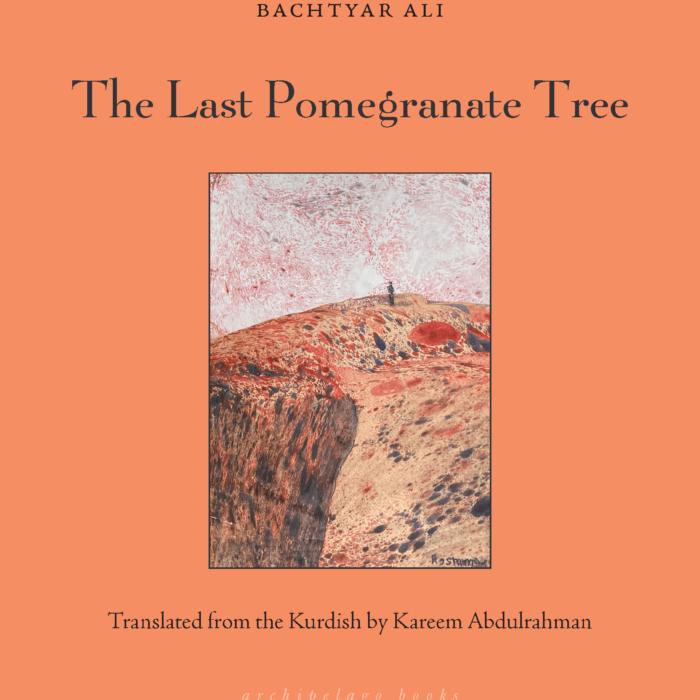 BOOK REVIEW: THE LAST POMEGRANATE TREE
