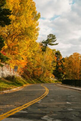 A photo of a road in an autumnal landscape, capturing the essence of the Thanksgiving season.