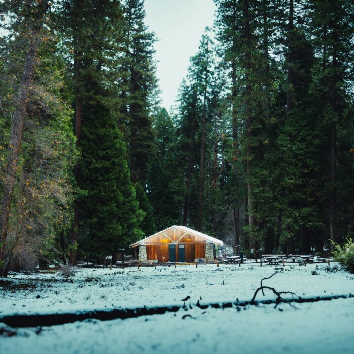 A solitary wooden cabin surrounded by snowy forest, evoking survival and isolation in a post-apocalyptic world.
