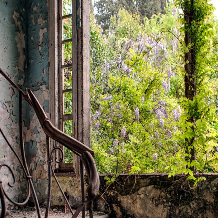 Ruined chateau stairwell overgrown with ivy and greenery, sunlight streaming in