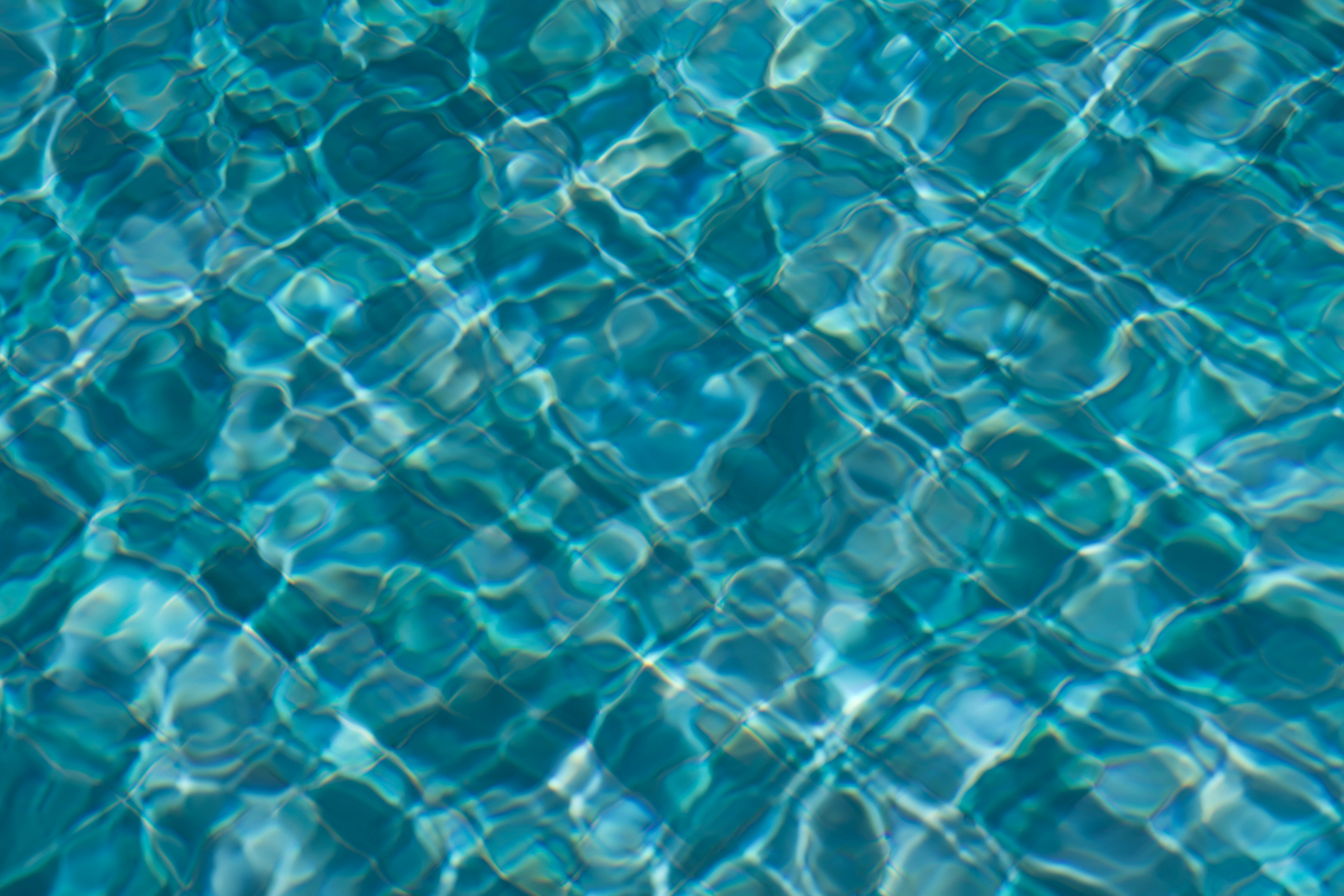 A diving board above an empty pool, late-day light turning the scene quiet and tense.