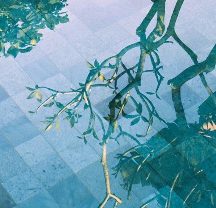     Sidestroke in Graceland