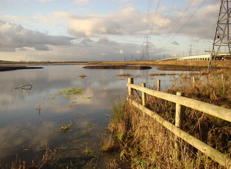 A Day Out Of Dagenham