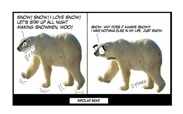 Polar-bear-high