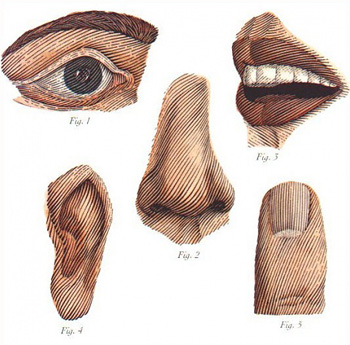 The Ghost in the Machine #1: The Senses