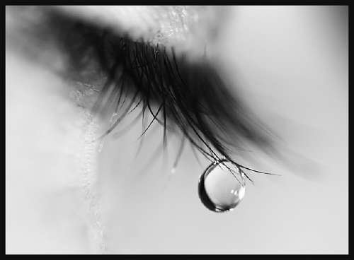 <em>Tears</em> by Grace Andreacchi