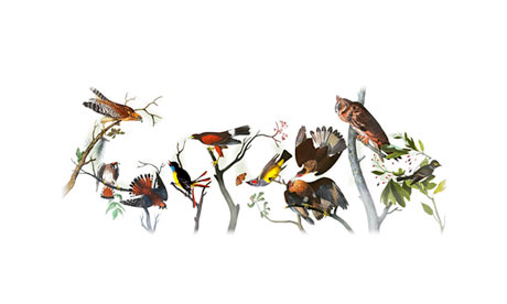 Audubon