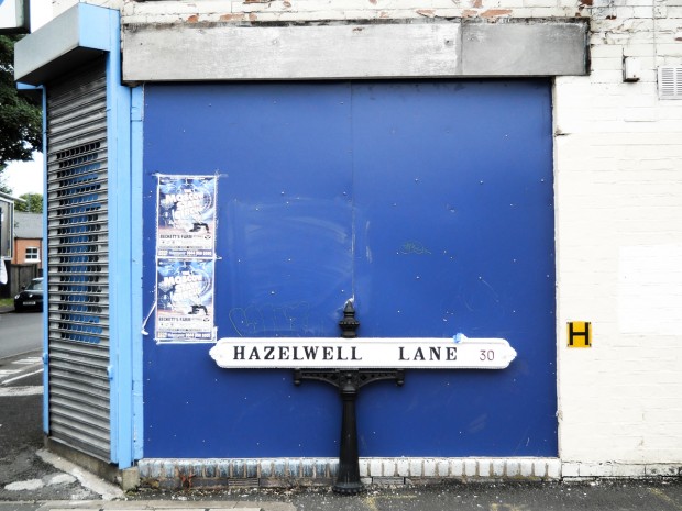 Hazelwell1