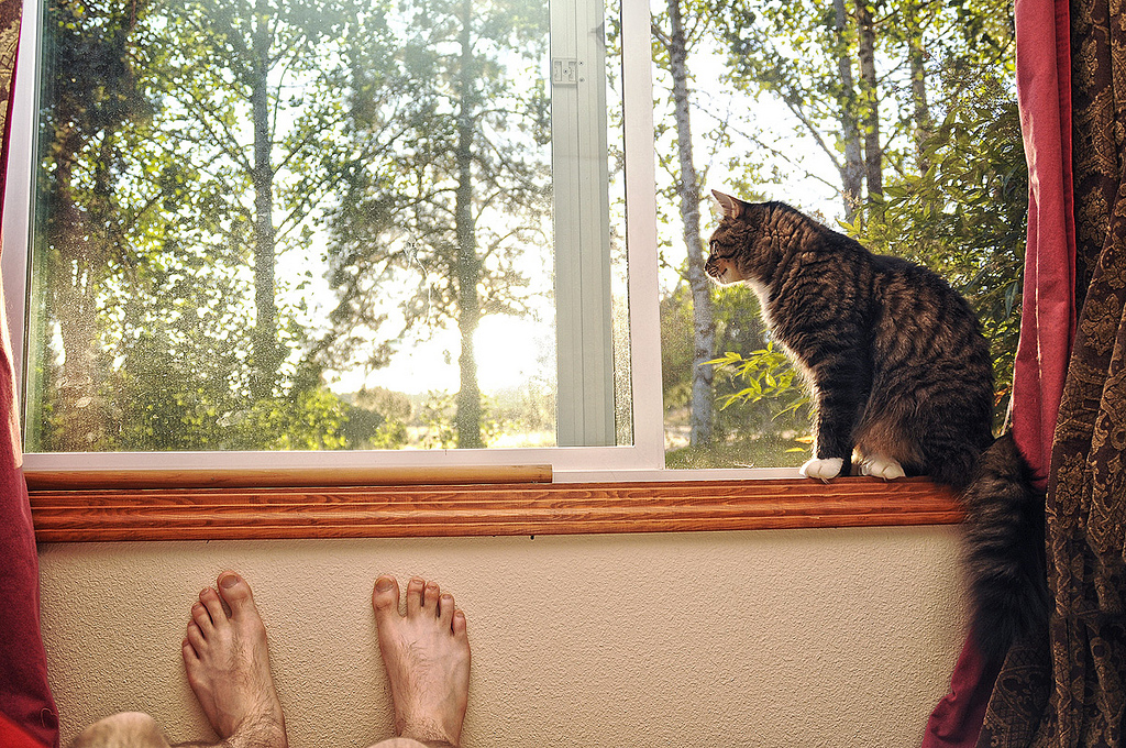 The Last Meal of the Condemned