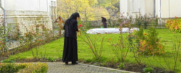 The Nuns in the Garden