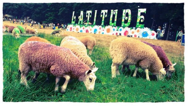 Painted sheep from Latitude Festival 2013. Flickr Commons photo courtesy of markheybo.
