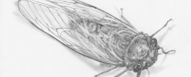 Horror: Call of the Cicadas