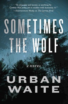 sometimes-the-wolf-9781471139253_lg