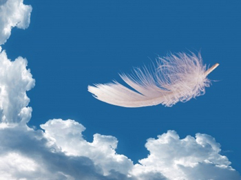 feather clouds