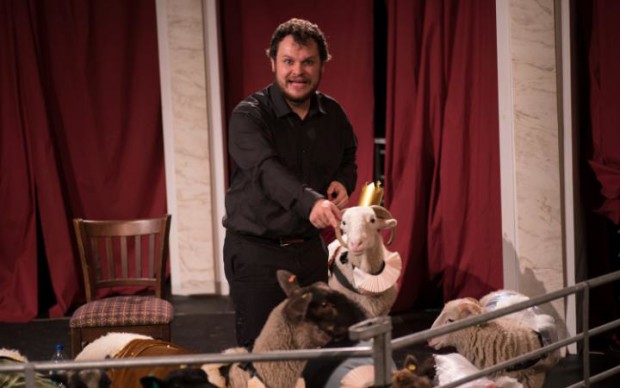 Alasdair Saksena in King Lear With Sheep at the Courtyard Theatre. Photo courtesy of Will Hazell.