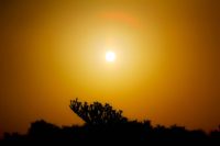 7112596891_f0c0c7cd47_o