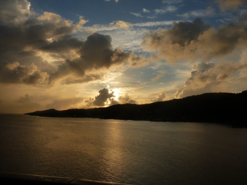 Essay: Death in the December Sunshine