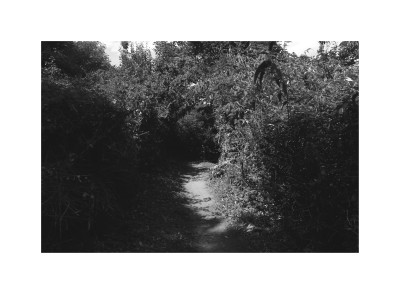 The Ghost of Dinah Craik The Ghost of Dinah Craik