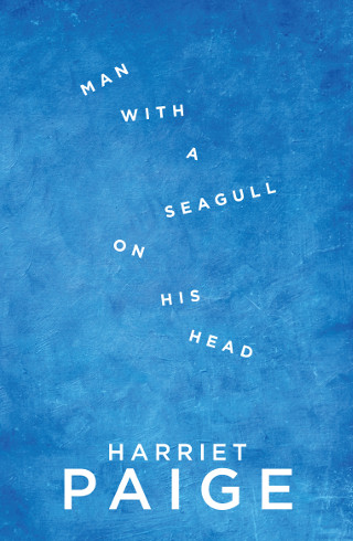 A Memory Box: <i>Man with a Seagull on His Head</i>, by Harriet Paige