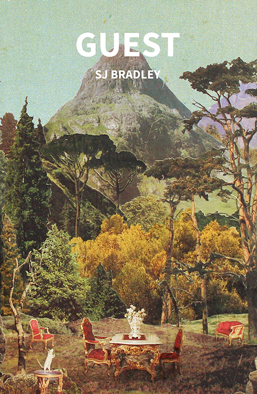 Book Review: <i>Guest</i>, by SJ Bradley