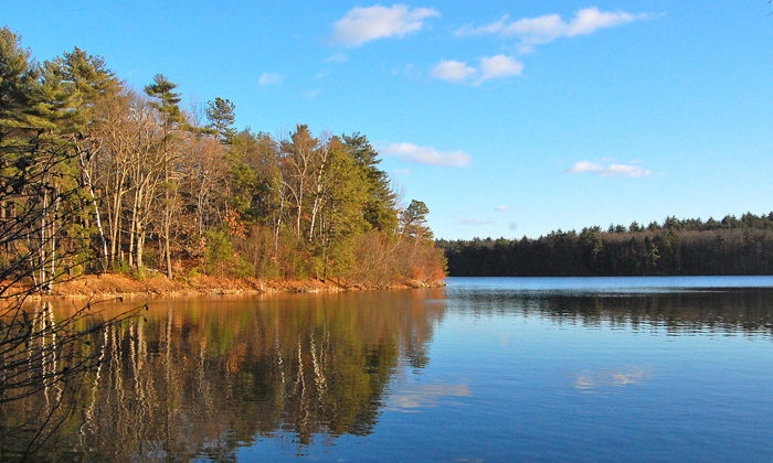 Landscape Literature: Reclaiming the wilderness of Henry David Thoreau’s Walden