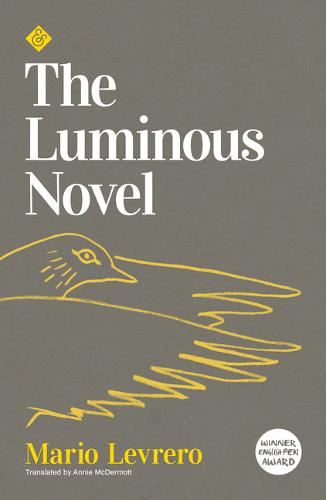 BOOK REVIEW: THE LUMINOUS NOVEL