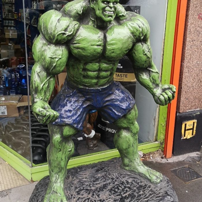 THE HULK’S REVENGE