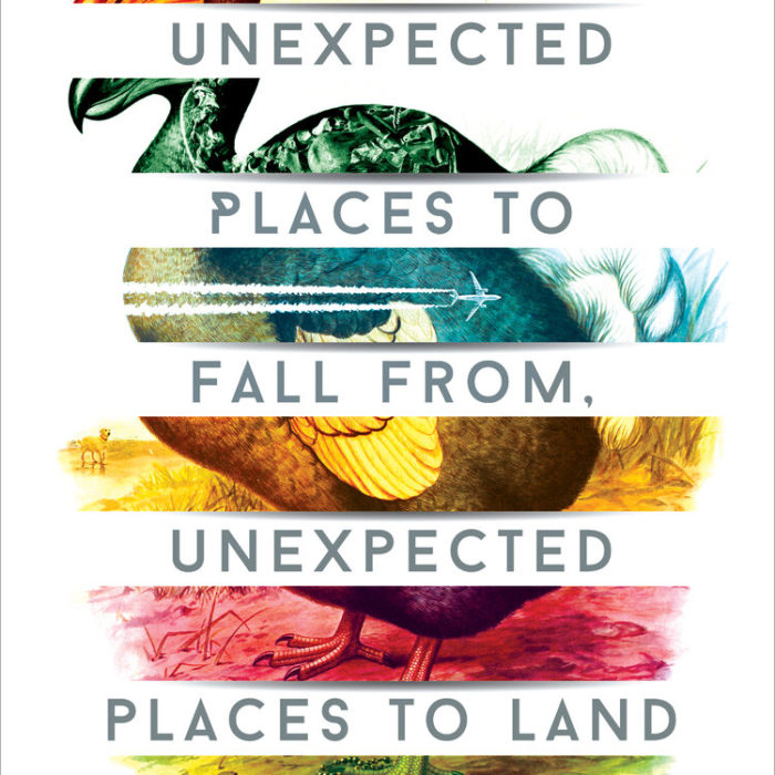 BOOK REVIEW: UNEXPECTED PLACES TO FALL FROM, UNEXPECTED PLACES TO LAND