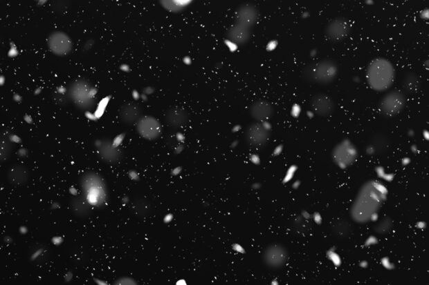 A photo of snow falling against a black night sky.