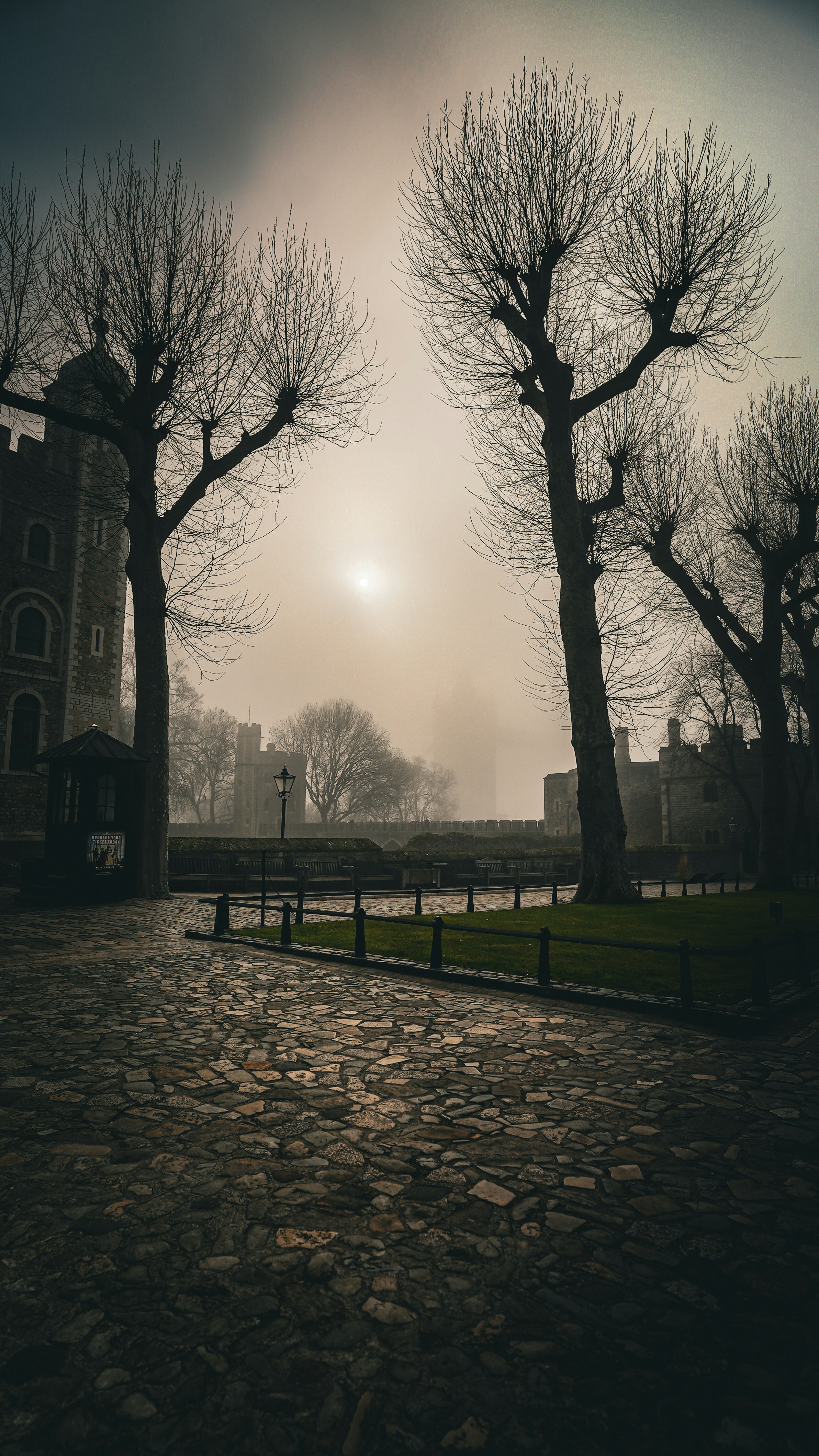 timetraveler’swife_data-lore-YcsY_aR12C0-unsplash