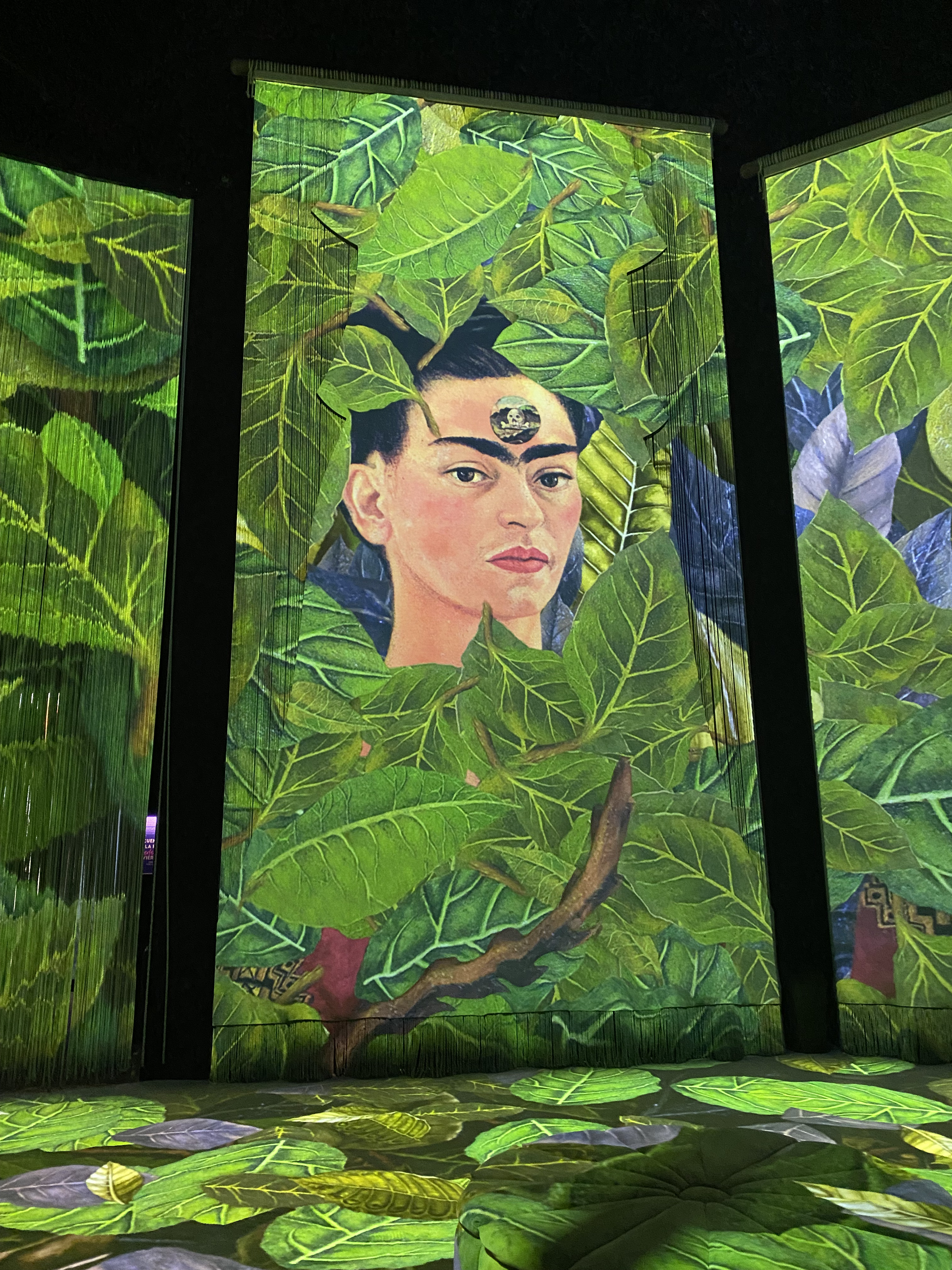 The Two Fridas — duality motif, large-scale projection