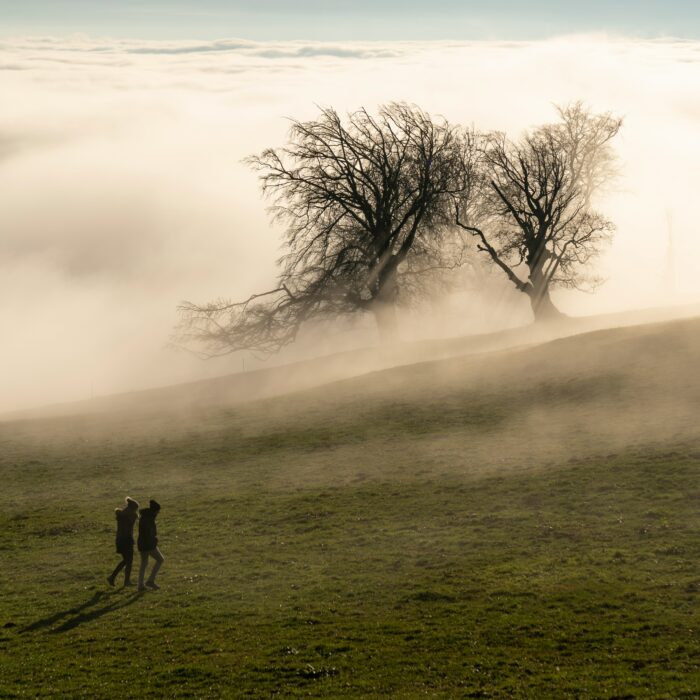 Two small figures walk across a misty hillside beneath wind-bent winter trees.