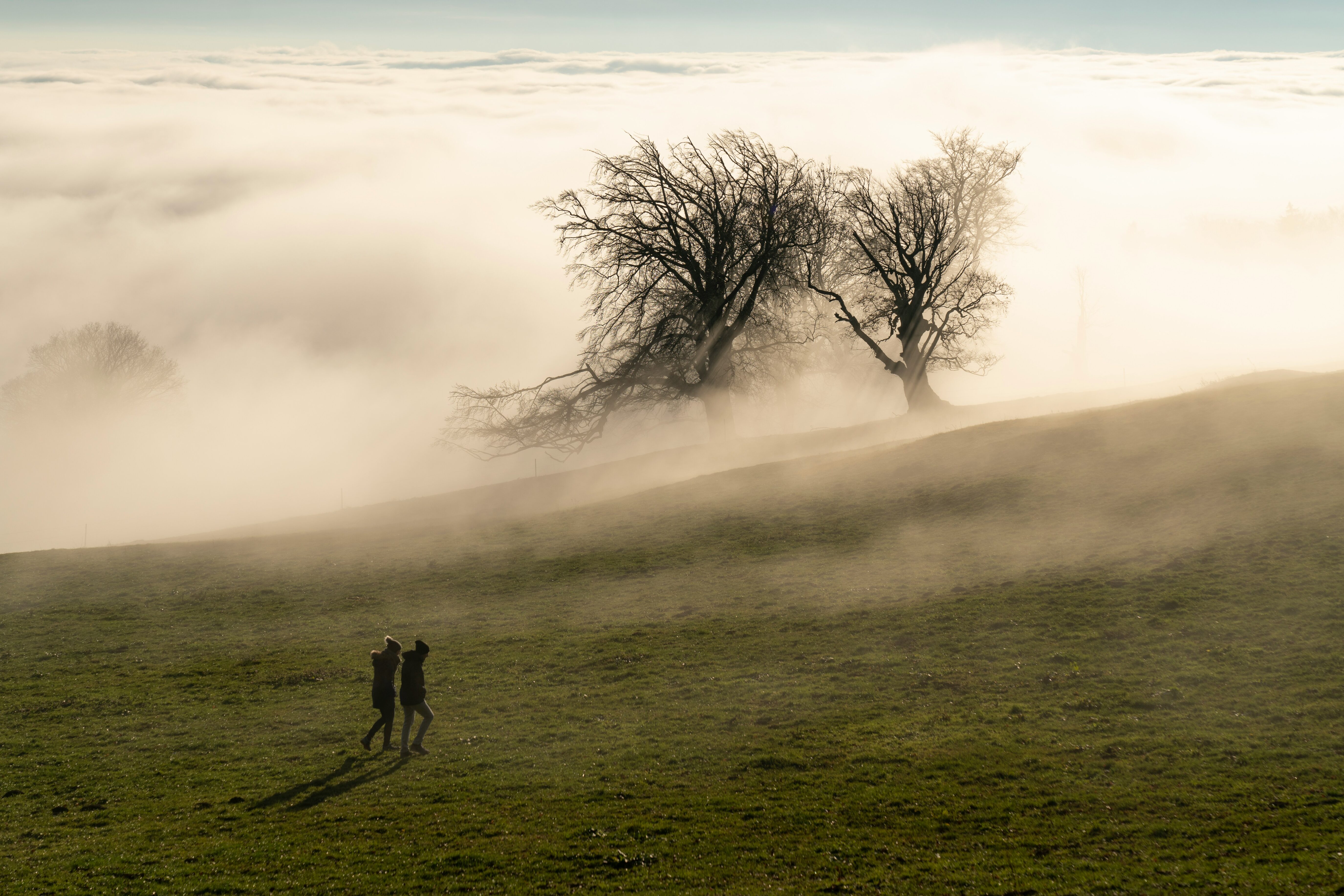 Two small figures walk across a misty hillside beneath wind-bent winter trees.