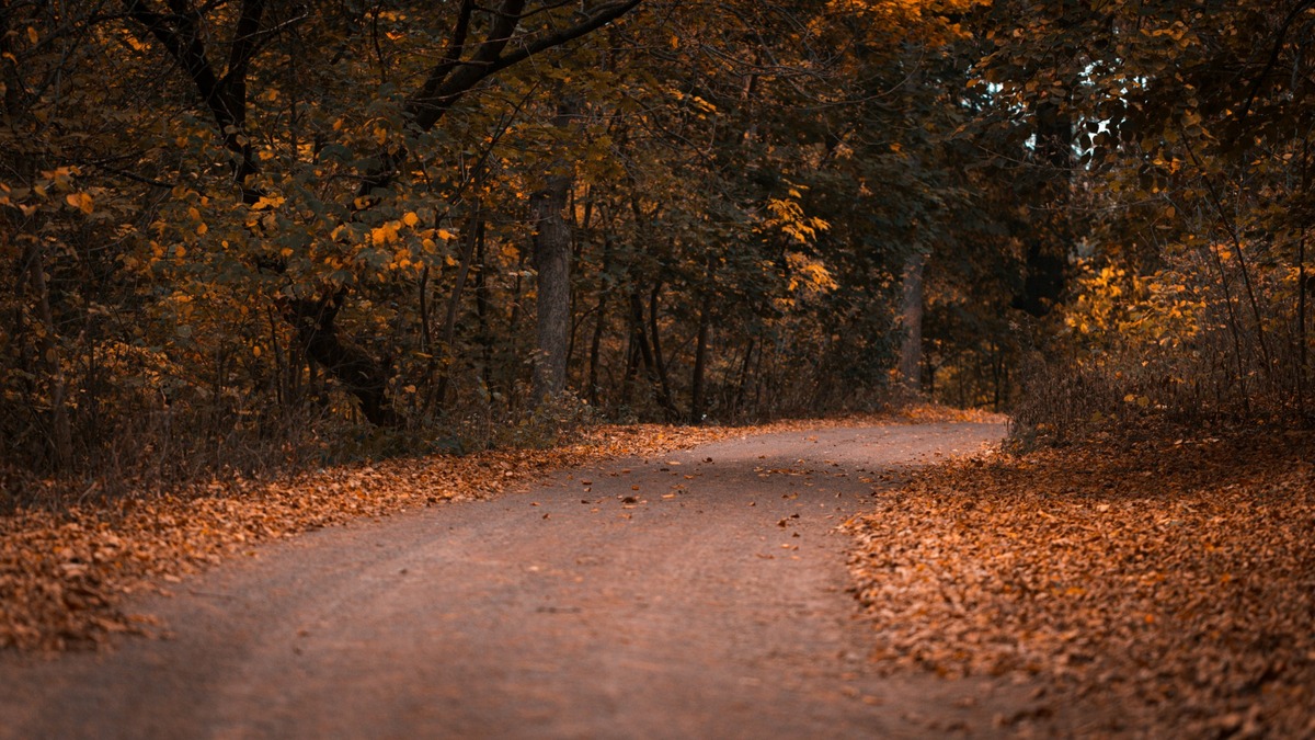 Rural road under shifting autumn clouds as daylight collapses toward evening.