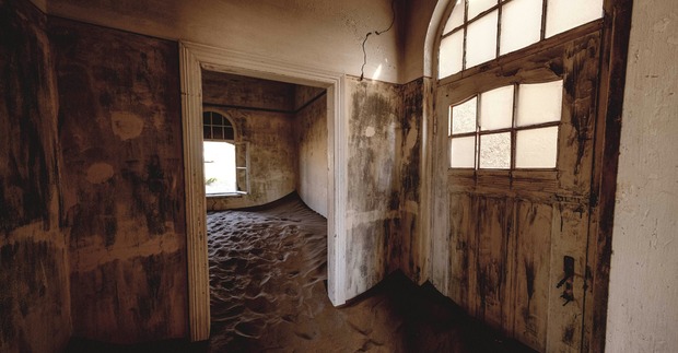 Hands cupping something small and fragile in soft light.