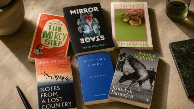 A stack of recent small-press fiction titles from independent publishers.