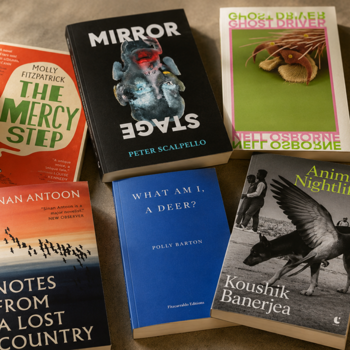 A stack of recent small-press fiction titles from independent publishers.