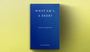 Cover of What Am I, A Deer? by Polly Barton