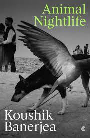 Cover of Animal Nightlife by Koushik Banerjea