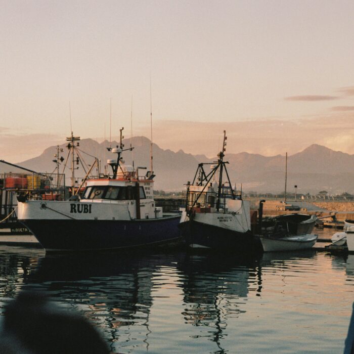 Fishing boats in harbour at dusk, seen through a shadowed frame, suggesting labour, distance, and a controlled coastal world.