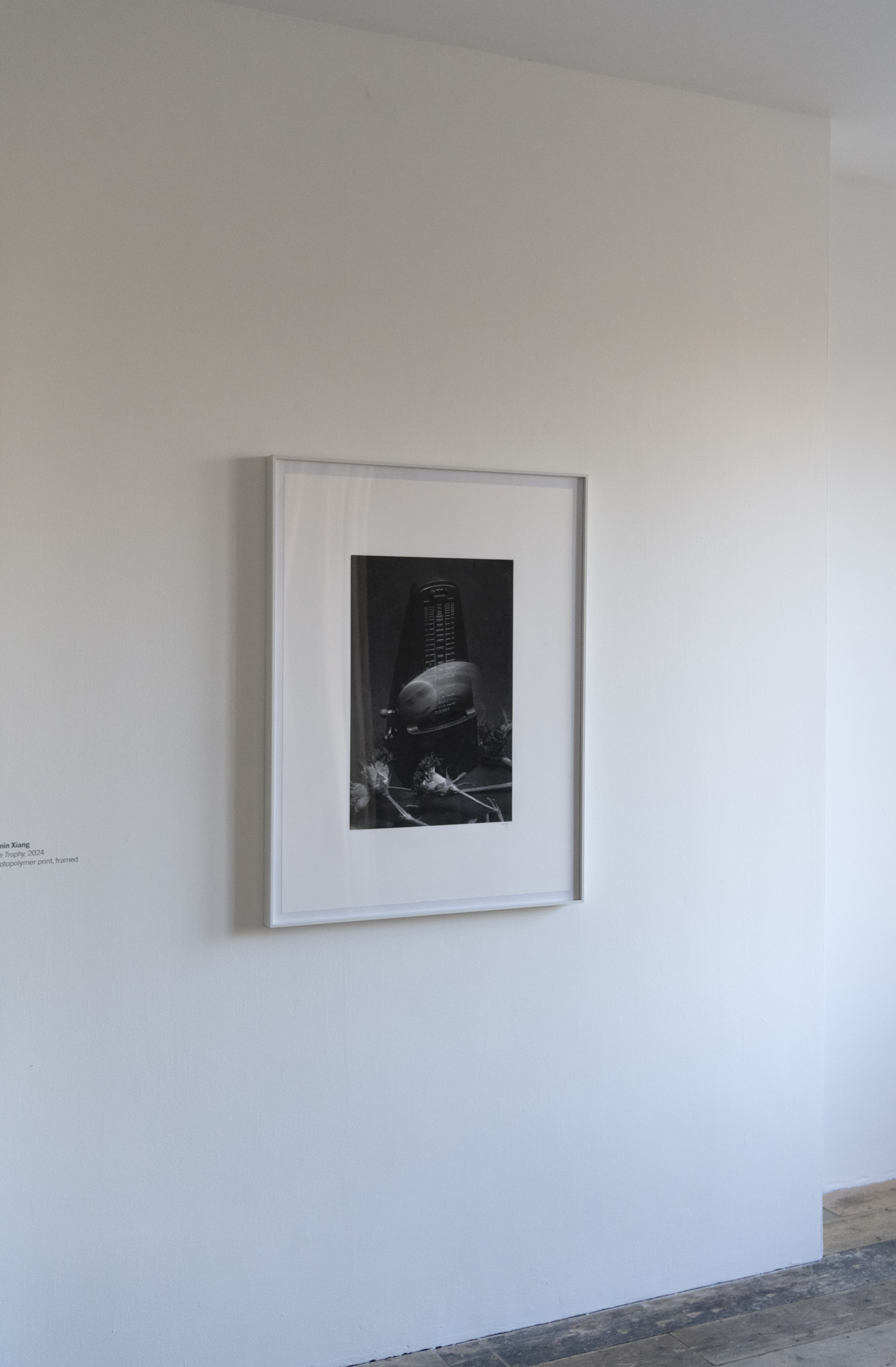 Installation view of New Contemporaries at South London Gallery, 2026