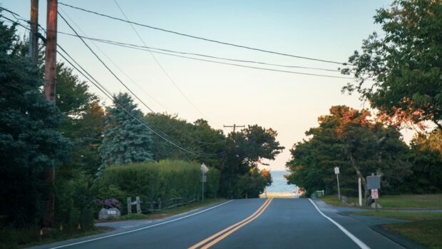 A quiet road running through trees in coastal Massachusetts.