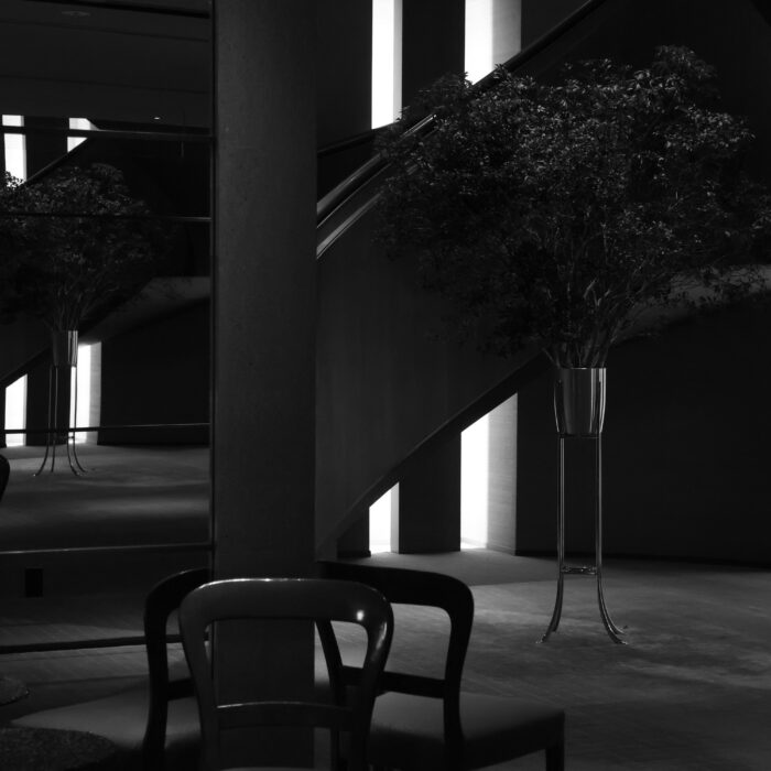 A black-and-white hotel lobby with empty chairs, mirrored walls, tall plants and hard vertical lighting.
